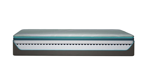 Tempur-Pedic Pro Adapt