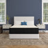 Anthony Plush Hybrid Eurotop - WCC Furniture & Mattress Center Lafayette & Lake Charles