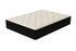 Anthony Plush Hybrid Eurotop - WCC Furniture & Mattress Center Lafayette & Lake Charles