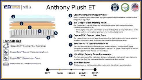 Anthony Plush Hybrid Eurotop - WCC Furniture & Mattress Center Lafayette & Lake Charles