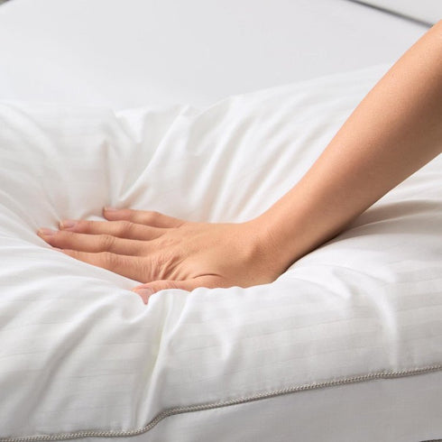 Convolution Adjustable Pillow - WCC Furniture & Mattress Center Lafayette & Lake Charles