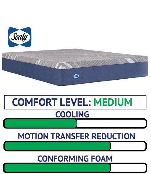 Sixth & Park Foam Medium - WCC Furniture & Mattress Center Lafayette & Lake Charles