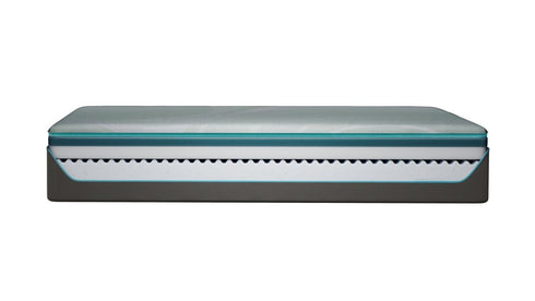 Tempur - Pedic Pro Adapt - WCC Furniture & Mattress Center Lafayette & Lake Charles